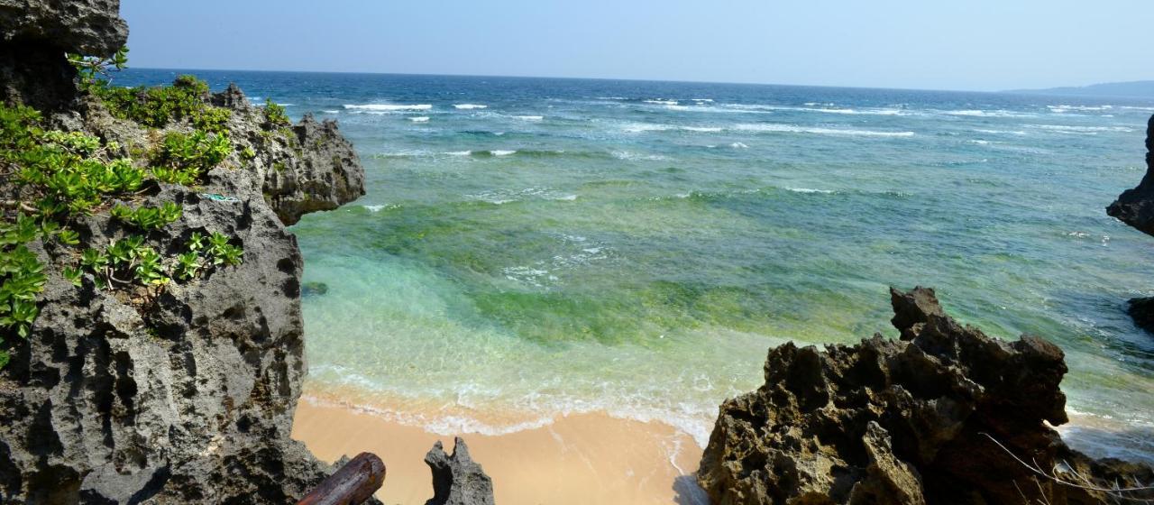 הוילה Wisteria Ocean נאקיג'ין מראה חיצוני תמונה